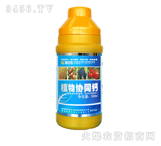 500mlֲf(xi)ͬ}-