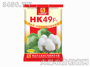 A֮-HK49F1޻N