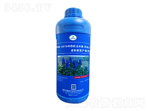 SM-037Aˎľ^a(chn)Ƅ1000ml-ΰ