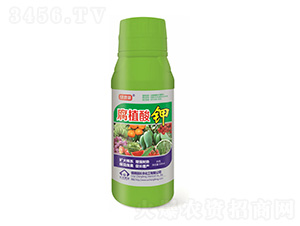 500mlֲ-G-LS